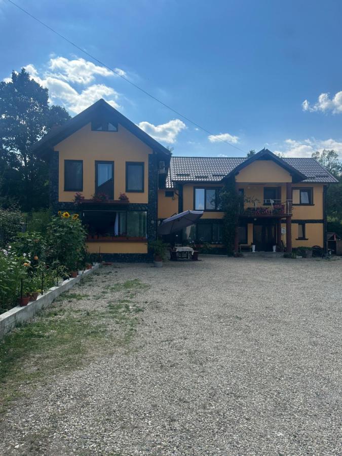 Casa Iuliana Hotel Horezu Bagian luar foto